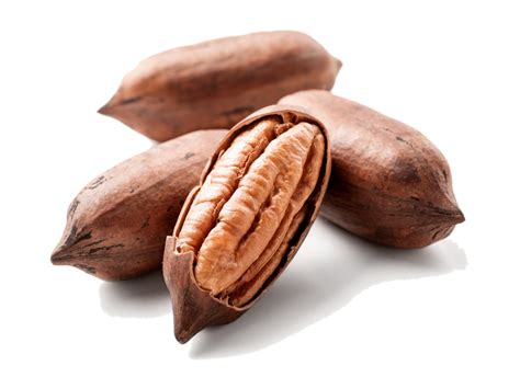 Western Pecan Growers Association Meeting - Pacific Nut Producer Magazine