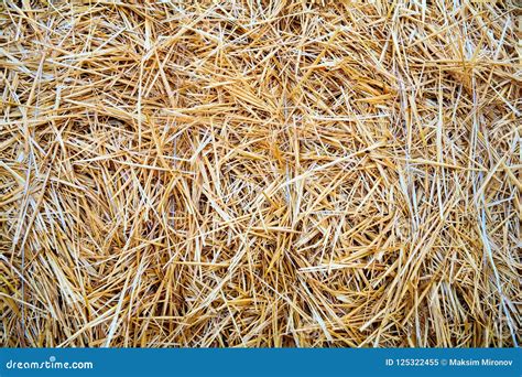 Dry Straw Texture Background Stock Image - Image of cornstalks, desktop: 125322455