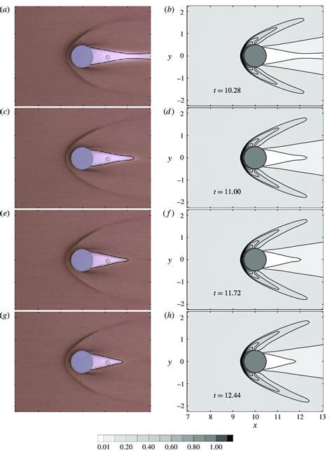 (a,c,e,g) Photographs and superimposed computed boundary and (b,d,f,h ...