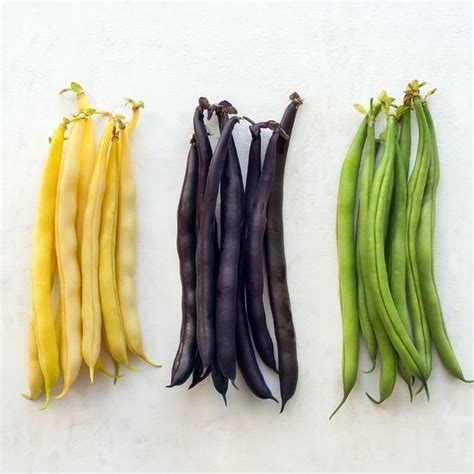 10 Different Types of Green Beans (Most Common Varieties) - Insanely Good