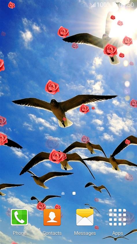 birds live wallpaper,sky,illustration,bird,animation,seabird (#94800 ...