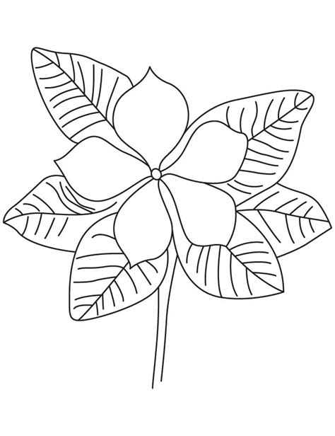 Periwinkle Flower Drawing at GetDrawings | Free download