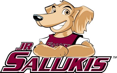 Southern Illinois Salukis Logo - Mascot Logo - NCAA Division I (s-t ...