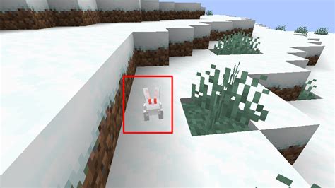 How to Breed a Rabbit in Minecraft | LaptrinhX