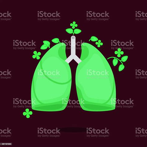 Lungs Vector Illustration Stock Illustration - Download Image Now ...