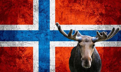 National Animal Of Norway (Helpful Content!) - Foreign Lingo