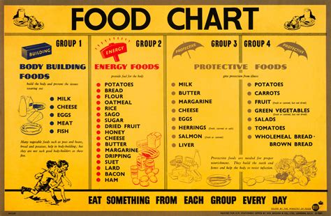 Nutrition needs for the Human Body: Nutrition Chart