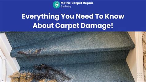 Everything You Need To Know About Carpet Damage!