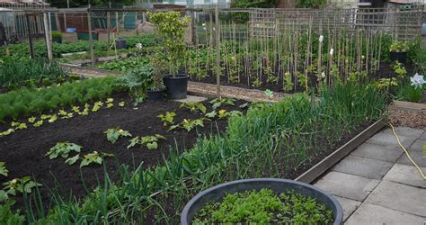 Allotments | Otley Town Council