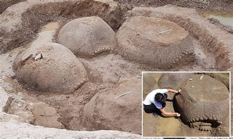 Argentinian farmer discovered a prehistoric giant armadillo shell ...