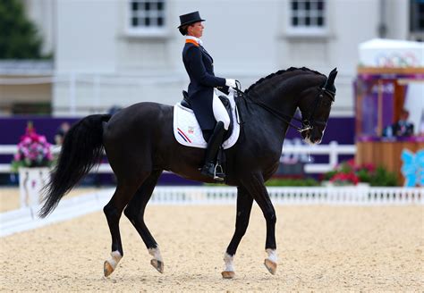 Olympic Equestrian Rules, Judging, and Officials