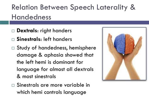 PPT - Ch 16 Lateralization, Language & the Split Brain PowerPoint ...