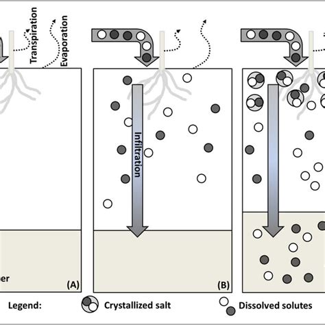 (PDF) Cropland Soil Salinization and Associated Hydrology: Trends ...