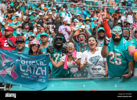 Miami Dolphins Fans High Resolution Stock Photography and Images - Alamy