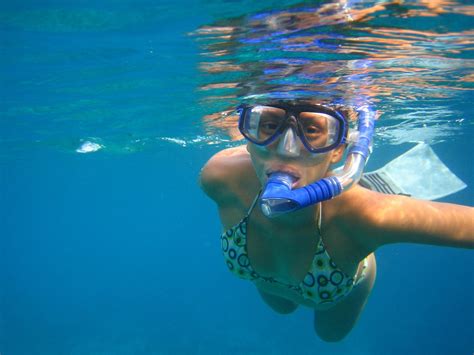 Snorkeling In San Andres Free Photo Download | FreeImages