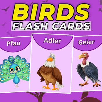 Birds Vocabulary Flashcards in German by AKAL | TPT