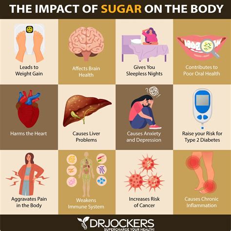 7 Ways to Stop Sugar Cravings For Good - DrJockers.com