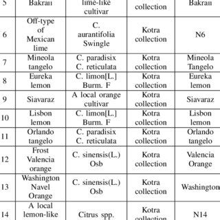 List of morphological markers and their stage of observation employed... | Download Table