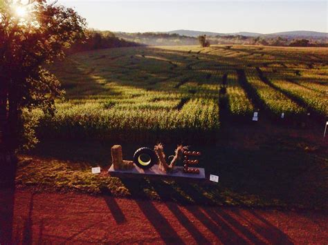 Corn Maze | Liberty Mills Farm | Somerset