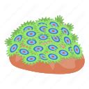 Beach, cartoon, coral, isometric, logo, tattoo, underwater icon - Download on Iconfinder