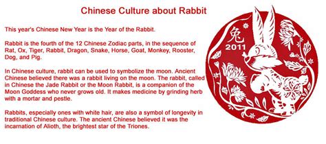 Special: All about the Year of the Rabbit