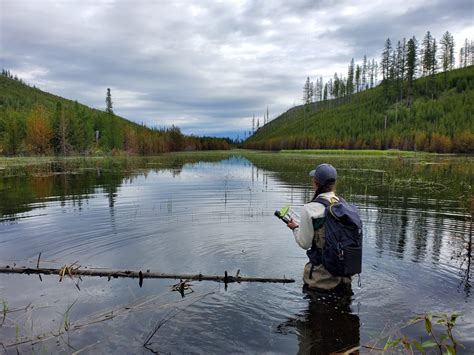 Kootenay Crew Conducts Wetland Assessments - The Nature Trust of ...