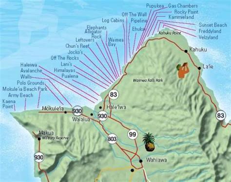 Graphic: North Shore Shark Attack! | Beach Grit