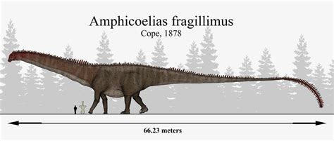 E.D Cope's Lost Giant: Amphicoelias fragillimus by https://www ...