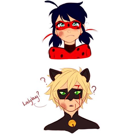 hurt Kitty!! - pg01 | Miraculous ladybug comic, Miraculous ladybug, Ladybug