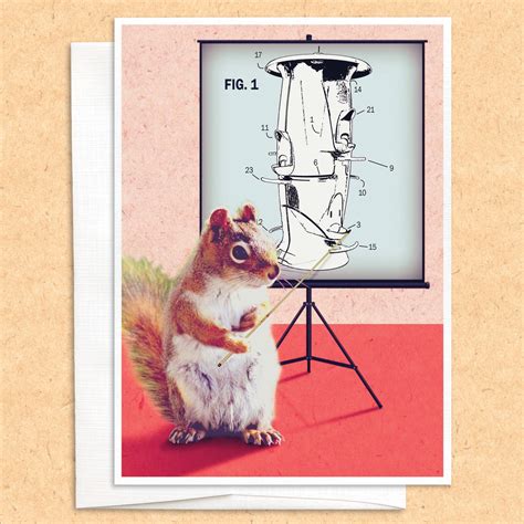 Squirrel/birdfeeder 101 Card, Funny Greeting Card, Funny Card, Bird Card, Squirrel Card ...