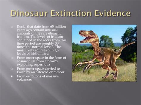 PPT - Dinosaur Extinction Evidence PowerPoint Presentation, free download - ID:2527542