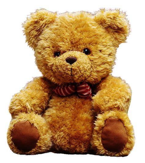 Teddy Bear PNG Image - PurePNG | Free transparent CC0 PNG Image Library