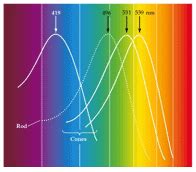 Health>Mind+Body: SYNTONICS COLORED LIGHT THERAPY FOR BALANCE