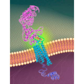 Receptor-Ligand Binding Assays | Radioligands | PerkinElmer