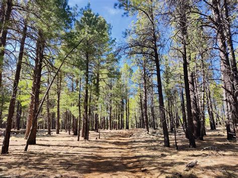 My Arizona Trail Thru Hike Resupply Plan and Notes Exploring Wild