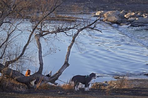 Mid December is too soon to give up on winter - InForum | Fargo ...