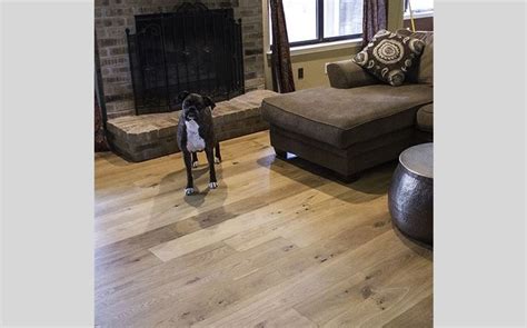 Pet Care Tips: What’s the Best Flooring for Dogs?