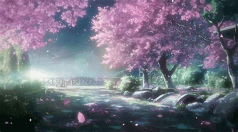 Cherry Blossom Tree GIF - Cherry Blossom Tree - Discover & Share GIFs