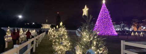 Visit the National Christmas Tree and Lighting Ceremony 2022 | Free Tours by Foot