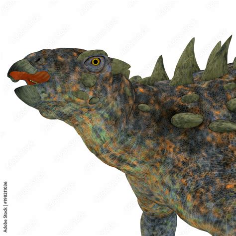 Polacanthus Dinosaur Head - Polacanthus was an armored herbivorous dinosaur that lived in Europe ...