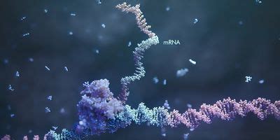 Gene Editing: DNA versus RNA | Drug Discovery News