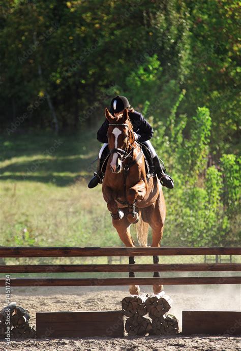 show jumping competition Stock Photo | Adobe Stock