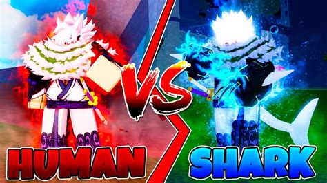 HUMAN V4 VS SHARK V4 QUAL A MELHOR RAÇA DESPERTADA DO BLOX FRUITS??? - YouTube