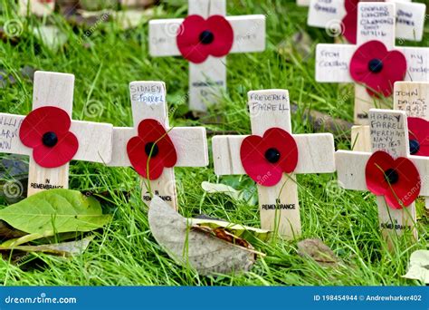 Poppy Rembrance Crosses at the Church of St Lawrence, Warminster Editorial Stock Image - Image ...