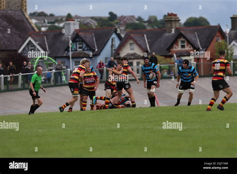 Carmarthen Quins RFC Stock Photo - Alamy