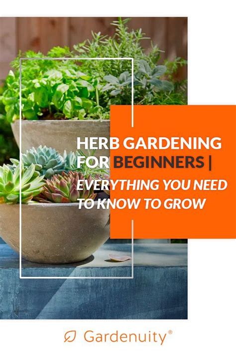 If you’re new to gardening, an herb garden is an incredible way to step ...