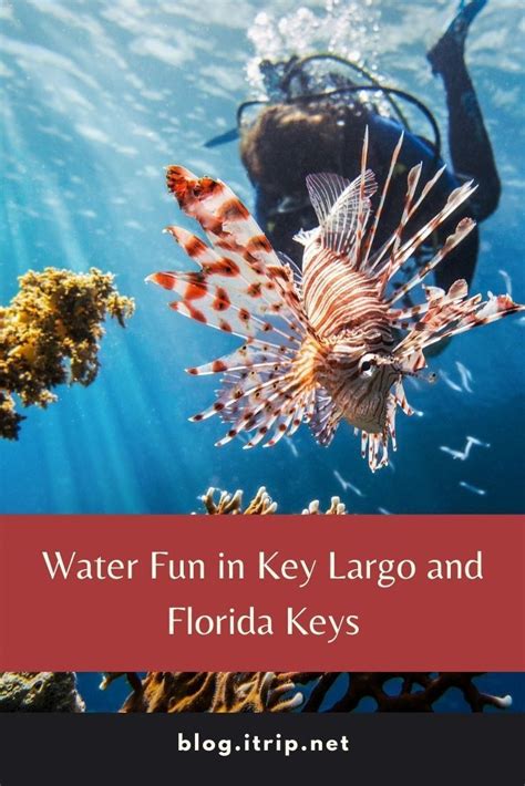 Water Fun in Key Largo: 7 Ways to Explore the Florida Keys - | Water fun, Fishing tours, Florida ...