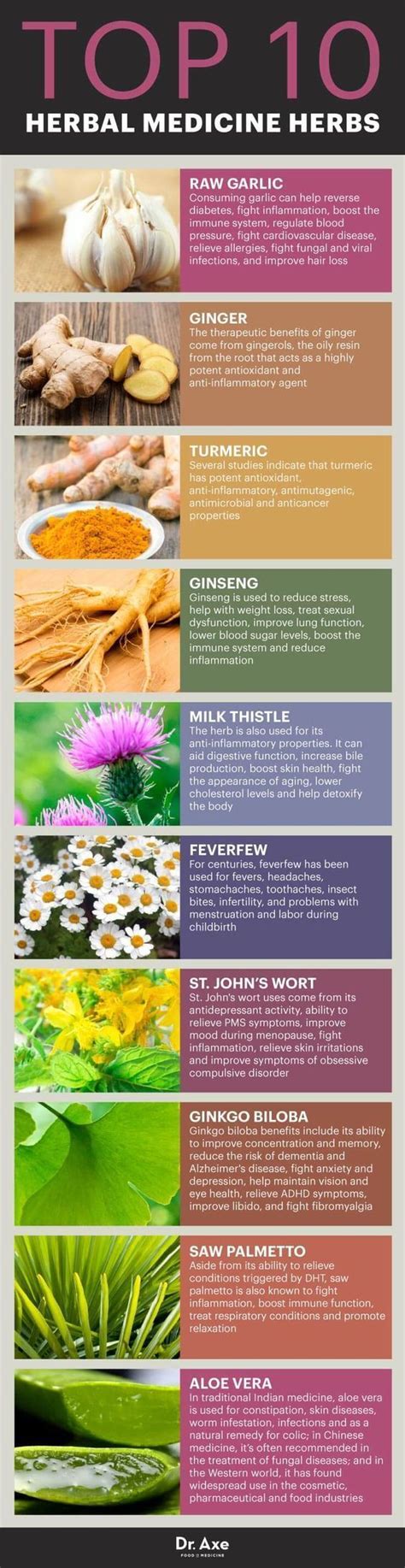 The Top 10 Herbal Medicine Herbs | Herbalism, Herbal medicine, Natural health remedies