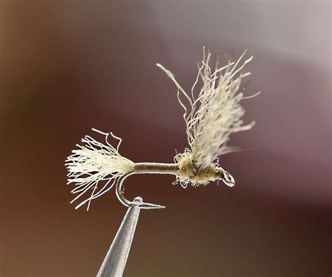 Mayfly & Midge Dry Fly Patterns - Rocky River Trout Unlimited | Fly fishing flies pattern ...