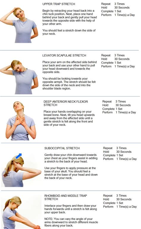 Great neck stretches to help alleviate stiffness associated with poor posture or working at a de ...